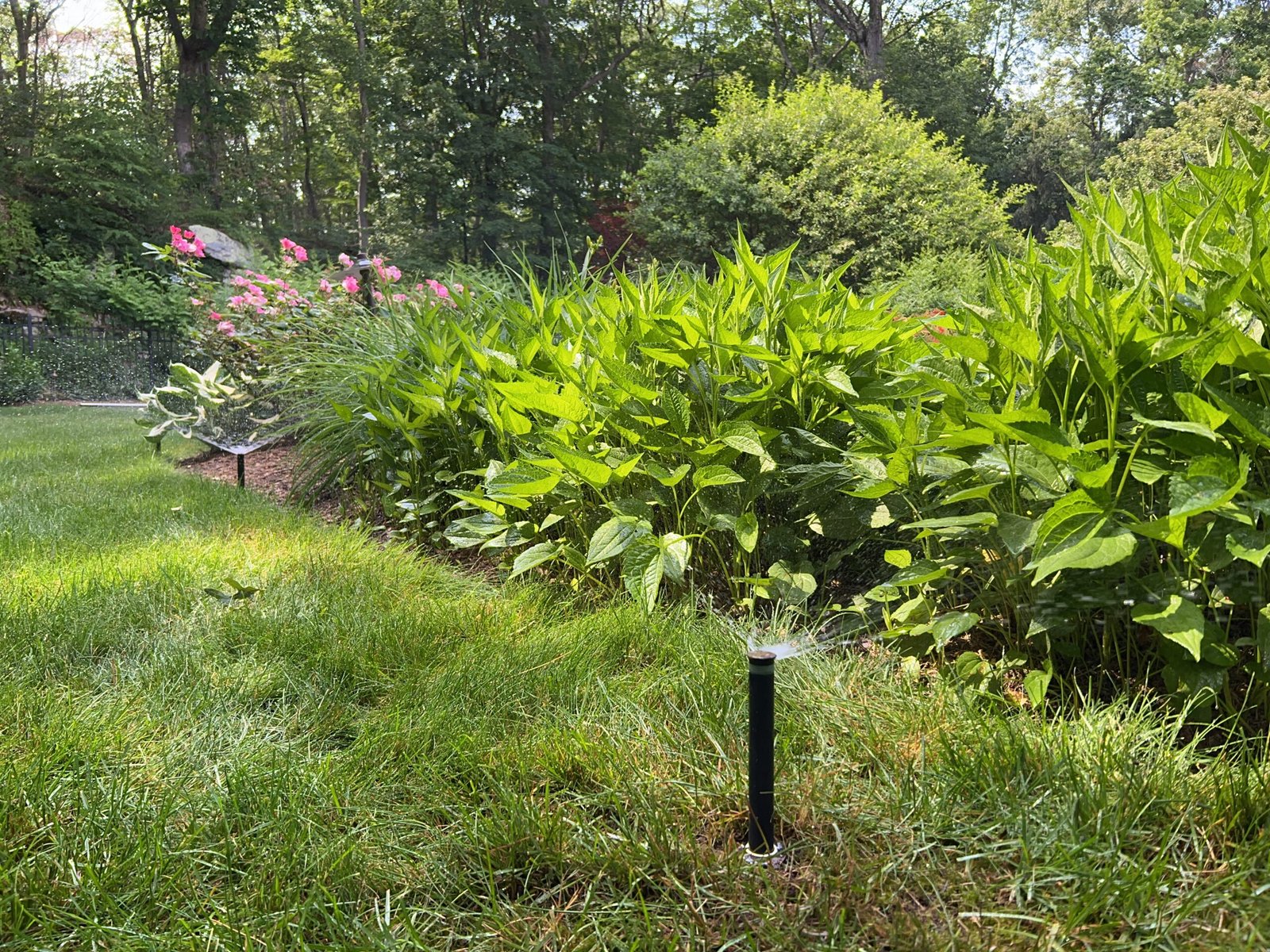 Gallery of sprinker irrigation system