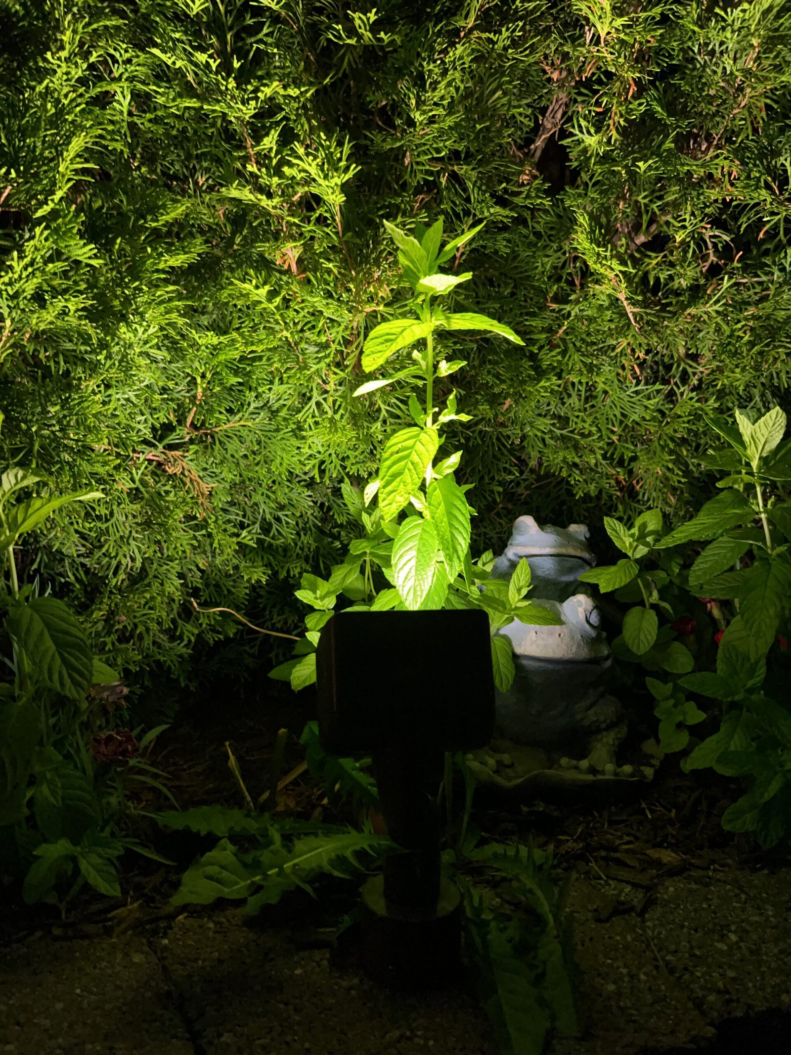 Gallery of outdoor lighting system
