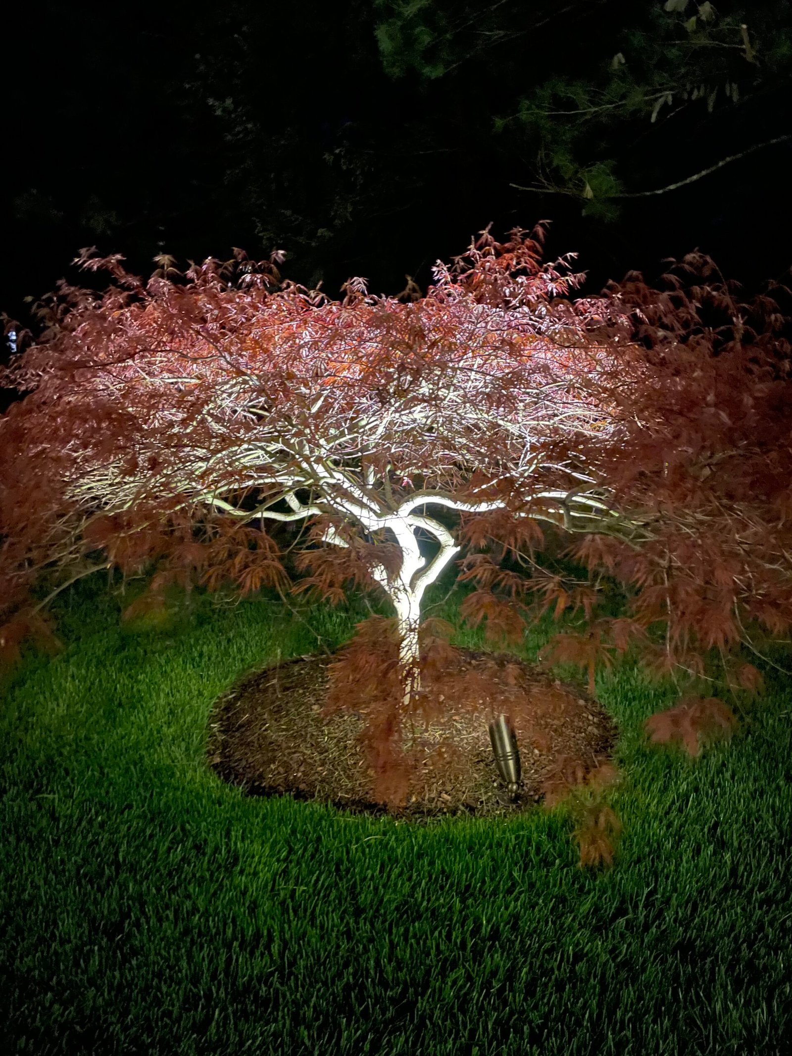 Gallery of outdoor lighting system